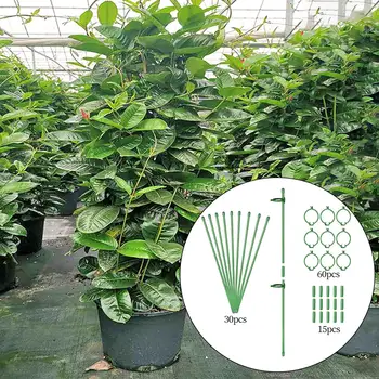 30 Adet Bitki Destek Stakes Çok Amaçlı Bitki Kafes Desteği için Halkalar ile Açık Bahçe Sera Sebze Domates