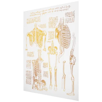 Kumaş Boyama Hastane Duvar Anatomisi Tuval Hemşire Ofis Dekor Sanat Duvarları