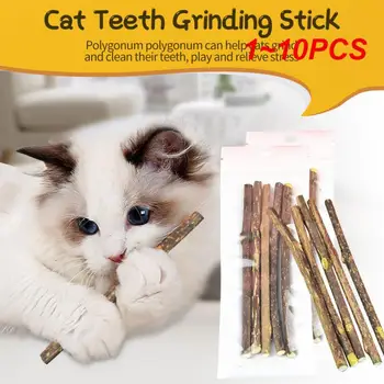 1~10 ADET Sopa / kutu Catnip Pet Kedi Molar Kendi Kendini İyileştiren Çiğnemek Ürün Tüm Doğal Rahatlatmak Sıkıntı Diş Macunu Temizleme Diş Aperatif