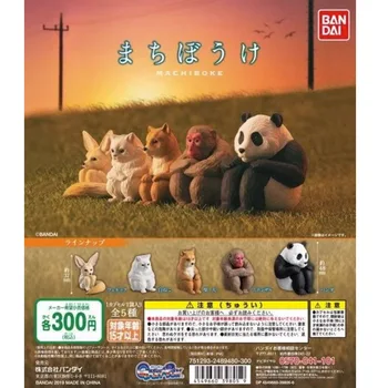 Japon Gashapon Kapsül Oyuncak Bekleyen Hayvanlar Maymun Panda Shiba Inu Tilki Kawaii Aksiyon Figürleri Masa Süsleri Çocuklar Hediyeler