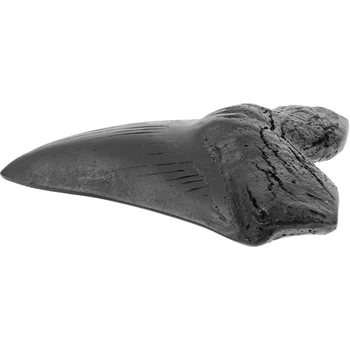 Megalodon Köpekbalığı Dişi Gerçekçi Simülasyon Megalodon Diş Modeli Megalodon Diş Çoğaltma