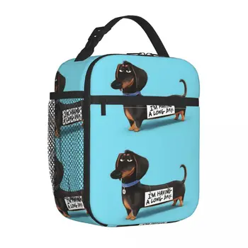 Dachshund Köpek Komik Pupy Yalıtımlı Öğle Yemeği soğutucu çanta Çanta yemek kutusu Yüksek Kapasiteli Tote yemek kabı Gıda Çantası Koleji Açık